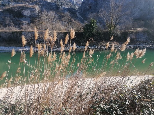 spiaggetta ansa fiume Adige Ceraino