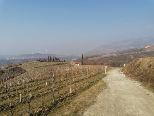 panorami salita per San Zeno in Poia segui segnavia CAI 238