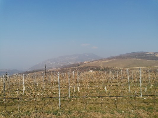 Panorami salita per San Zeno in Poia segui segnavia CAI 238