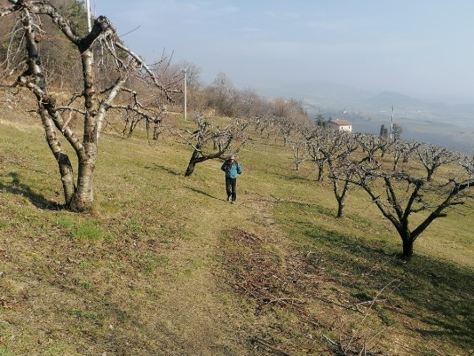 salita a Monte Solane