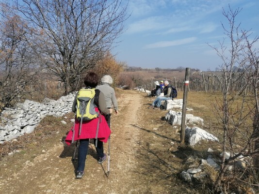 Monte Solane CAI 233 segnavia