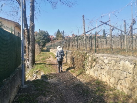 sterrato e poi in salita Monte Mattonara