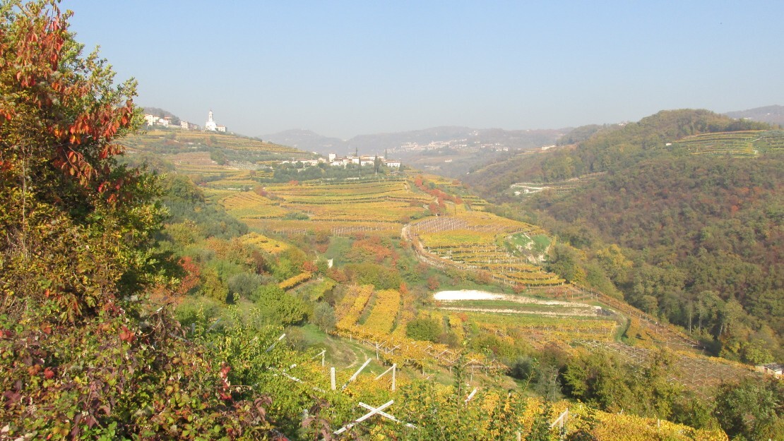 Panorama Valle di Negrar Nord , Torbe sullo sfondo