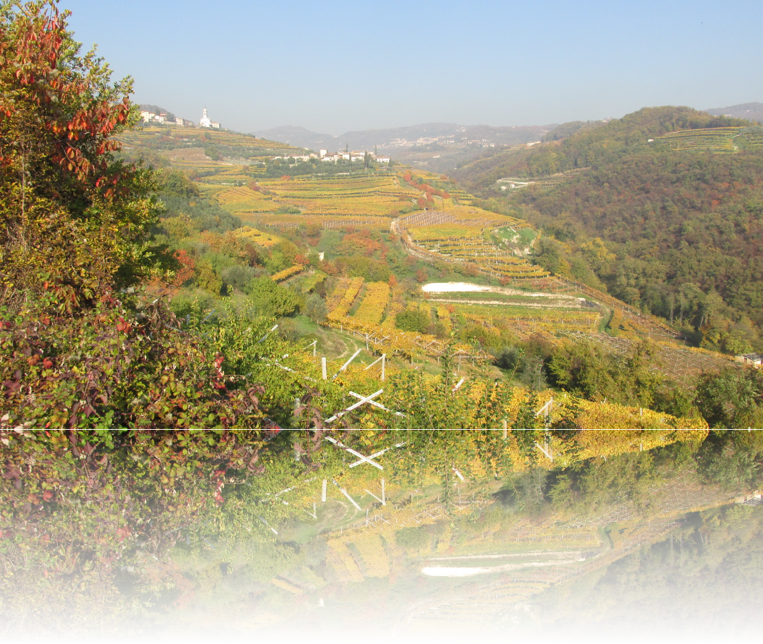 Panorama Nord Valle di Negrar