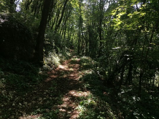 sentiero in salita per Sorasengi