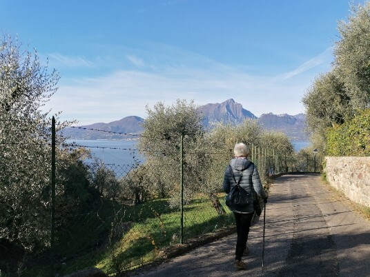 panorami  difronte il Monte Pizzocolo