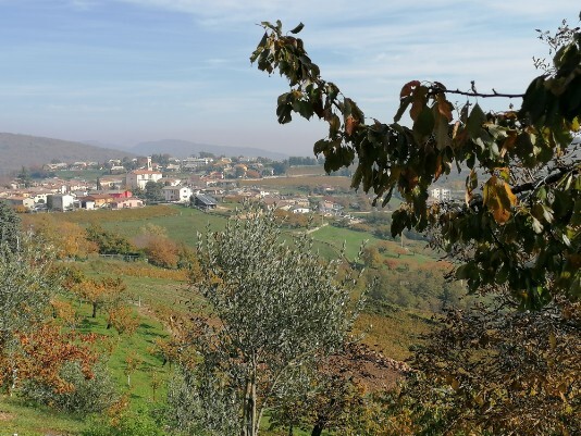 Cavalo visto da Stravalle