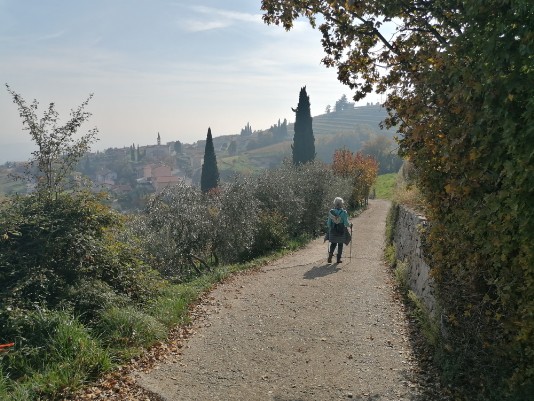 sentiero Cavalo Chiesa Vecchia -Mazzurega